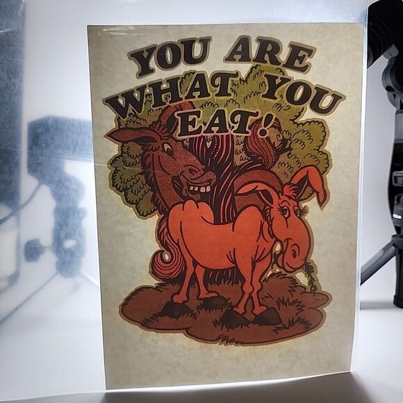 Vintage 1970 "You Are‎ What You Eat" L&H Iron On Transfer USA Funny Adult humor - Picture 1 of 7